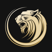 翅豹加速器V1.2 vapn海外網絡加速器 每天免費2小時免