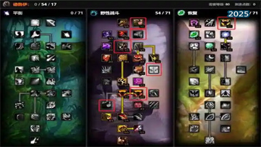 《魔獸世界：巫妖王之怒》貓德魯伊終極輸出指南——從入門到競速